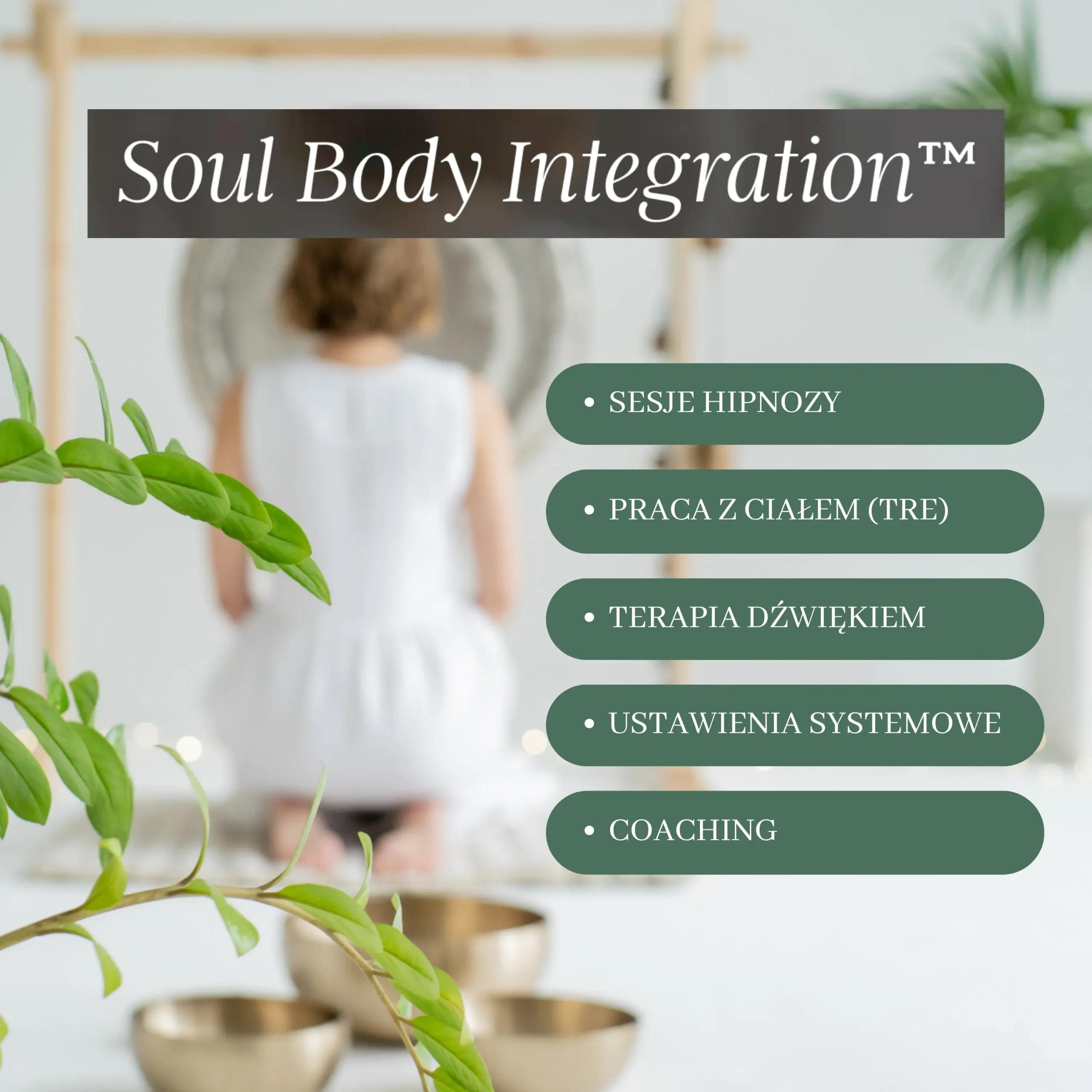 Soul Body Integration - mentoring